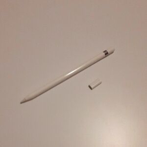 Apple Stylus Pen